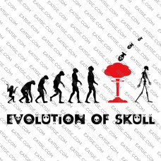 Evolution Of Skull