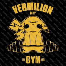 Vermilion City CYM