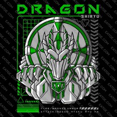 Dragon Shiryu Armor